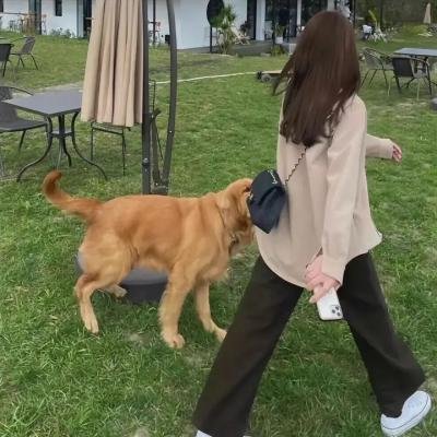 我、他们和拉拉